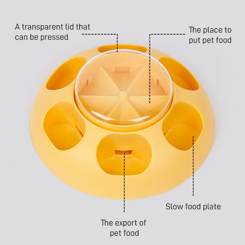 FeediPlay – highlights both feeding and fun interactive play.